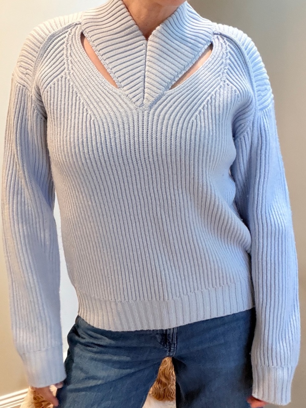Proenza Schouler Pale Blue Ribbed Cutout Sweater